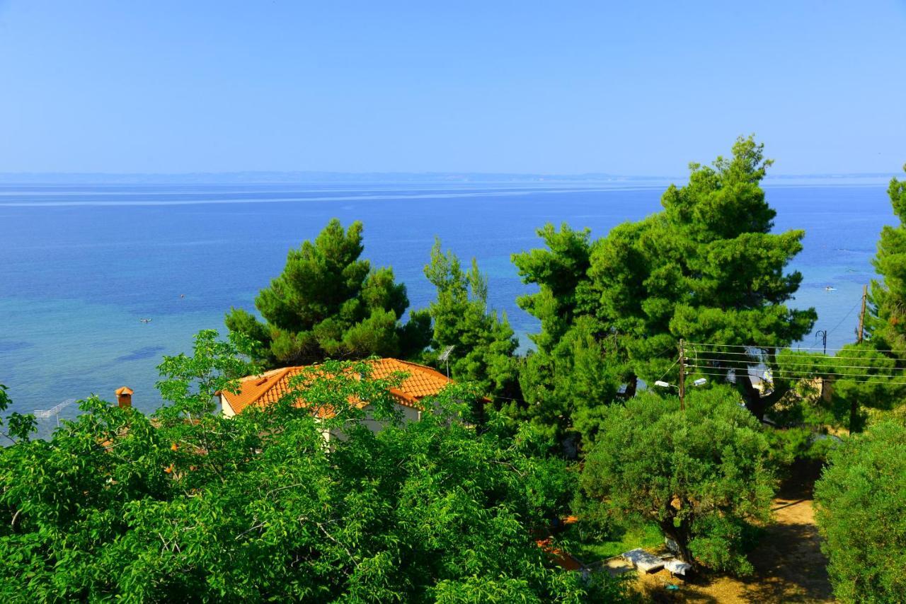 Golden Beach Hotel Metamorfosi  Exterior photo